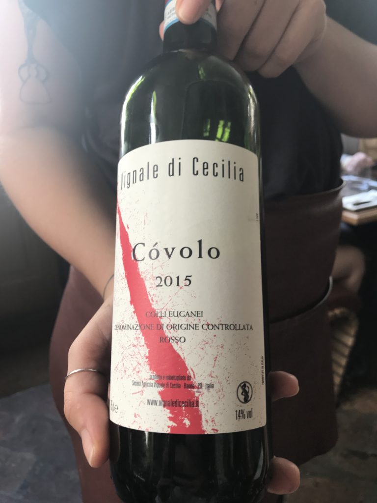 carbon vin 